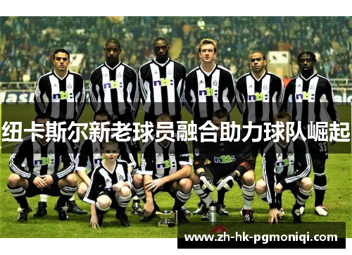 纽卡斯尔新老球员融合助力球队崛起